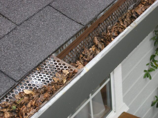 Gutter clear and check