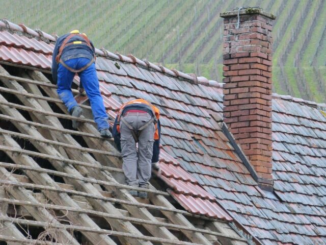 Roof health check